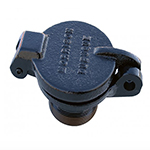 CAP, FILL, 2IN, CI